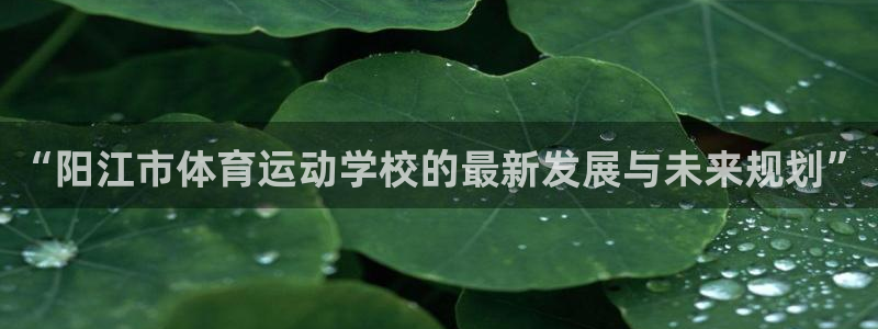 欧亿体育官方正版app集团E.ON:“阳江市体育运动学校的最