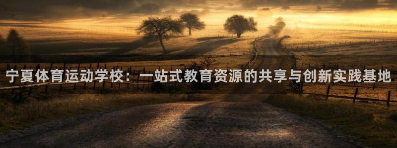 欧亿体育官方正版app新能源:宁夏体育运动学校:一站式教育资